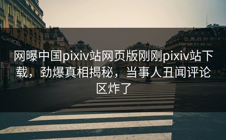 网曝中国pixiv站网页版刚刚pixiv站下载，劲爆真相揭秘，当事人丑闻评论区炸了