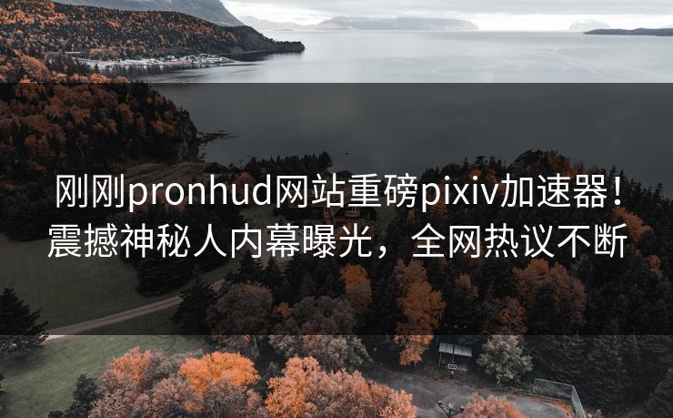 刚刚pronhud网站重磅pixiv加速器！震撼神秘人内幕曝光，全网热议不断