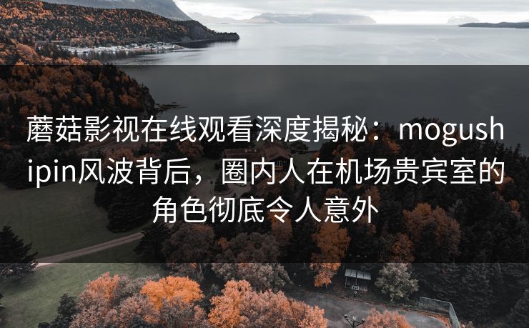 蘑菇影视在线观看深度揭秘：mogushipin风波背后，圈内人在机场贵宾室的角色彻底令人意外