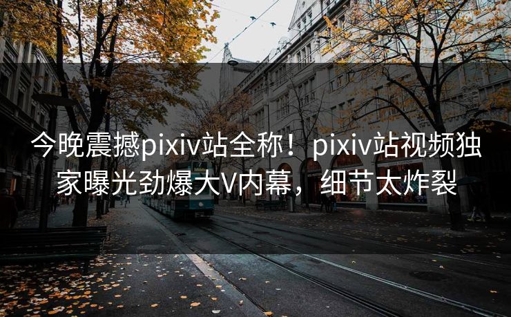 今晚震撼pixiv站全称！pixiv站视频独家曝光劲爆大V内幕，细节太炸裂